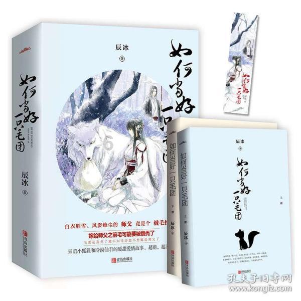 坎巴拉太空计划